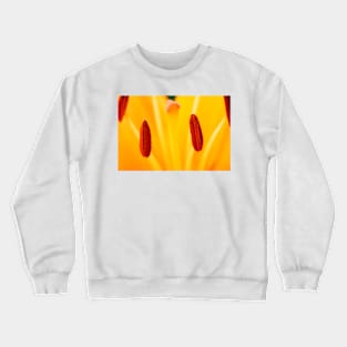 Lilium  'Brunello'  Asiatic Lily  Close up of anthers Crewneck Sweatshirt